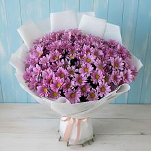 Букет цветов из:  Хризантемы в Покрово-Пригородном