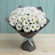 Букет цветов из:  Хризантемы в Покрово-Пригородном