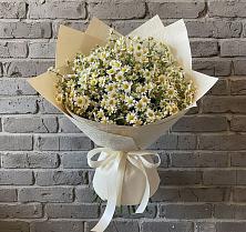 Букет цветов из:  Ромашки в Покрово-Пригородном