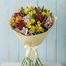 Букет цветов из:  Альстромерии в Покрово-Пригородном