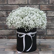 Цветочная композиция из Гипсофила в шляпной коробке в Покрово-Пригородном