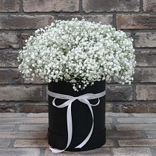 Цветочная композиция из Гипсофила в шляпной коробке в Покрово-Пригородном