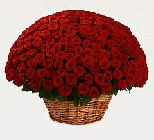 Премиум букет из: Розы в Покрово-Пригородном